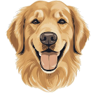 Juno the golden retriever